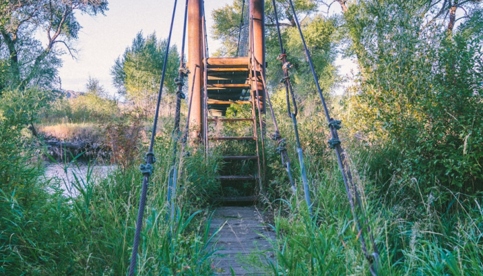 限时分享“悠闲麻将开挂”其实确实有挂