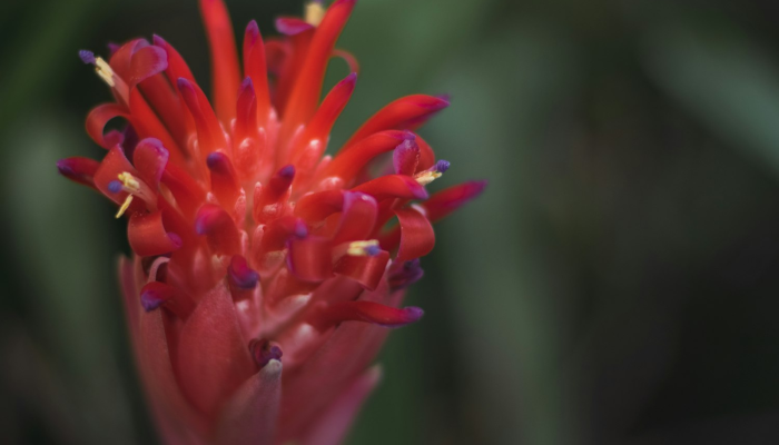 实测教程”花花生活圈挂怎么开”其实确实有挂