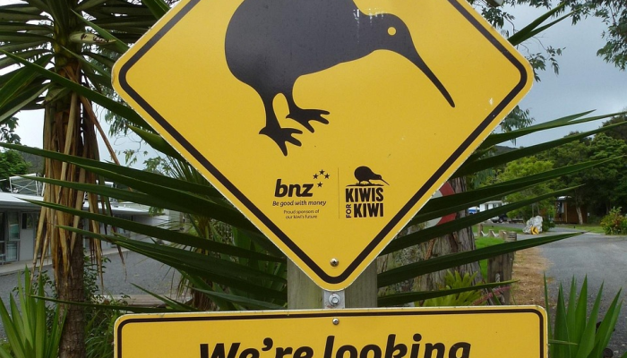 限时分享“随身13道作弊”其实确实有挂