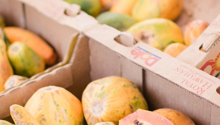 辅助开挂神器“水果汇确实是有挂”其实确实有挂