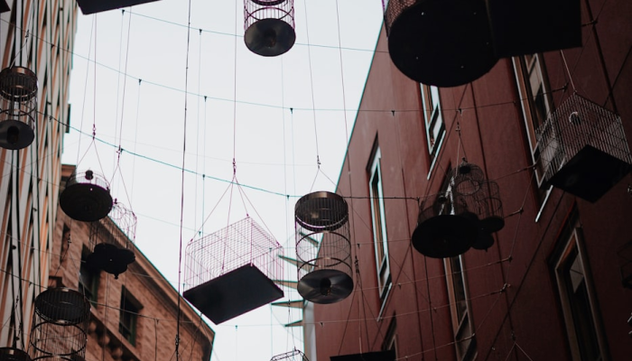 辅助神器“新道游大厅透视挂”其实确实有挂