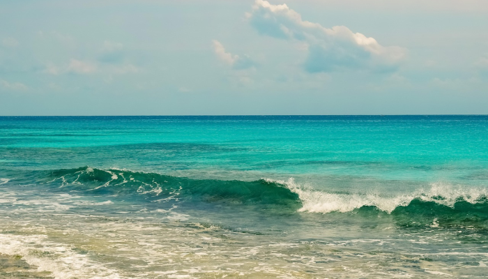 必看教程“新大海互娱真的有挂吗”太坑了真的有挂