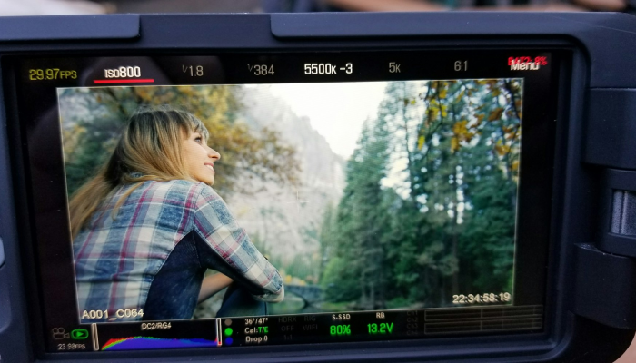 独家辅助解答“道游有挂吗+透视挂(开挂)2026必备