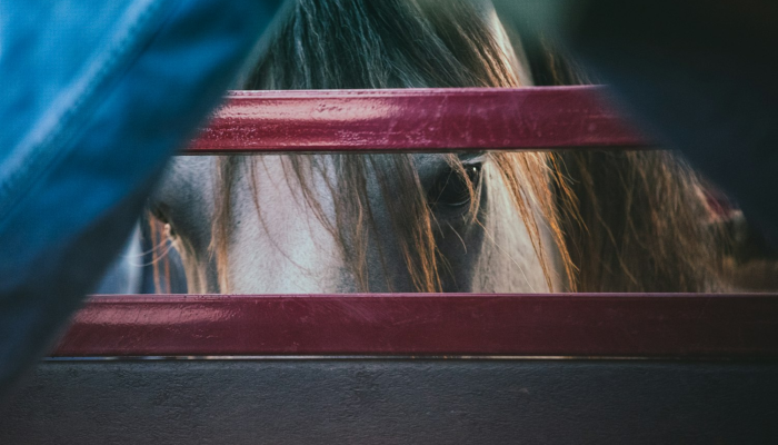 独家辅助解答“哈狗十三道透视开挂+透视挂(开挂)2026必备