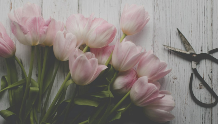 辅助开挂神器“同欣武汉花到底有挂吗”开挂详细教程