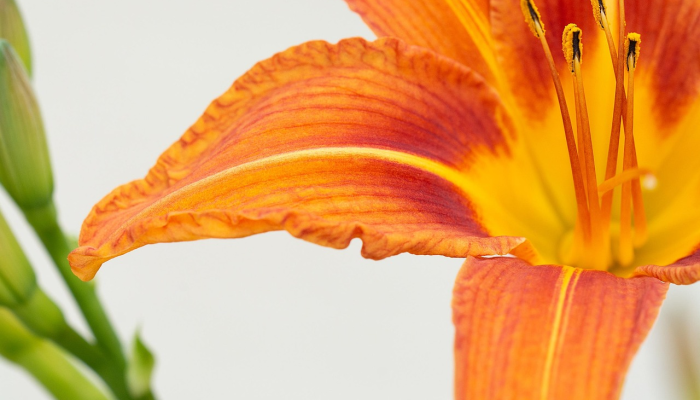 必看教程“樱花梦雨真的有挂吗”确实可以使用辅助 必看教程“樱花梦雨真的有挂吗”确实可以使用辅助