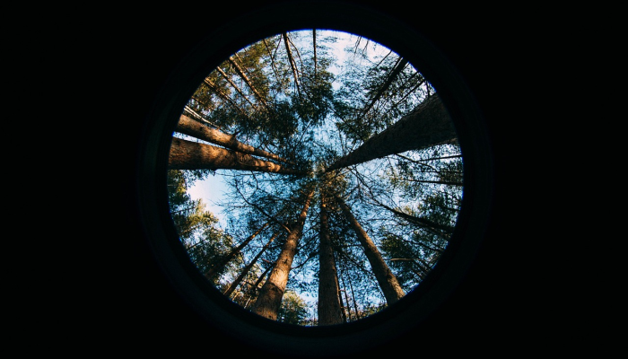 玩家实测“wepoker德州开挂方法”【透视软件教程分享】