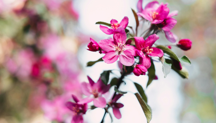 辅助开挂神器“花花生活圈挂怎么开”开挂详细教程