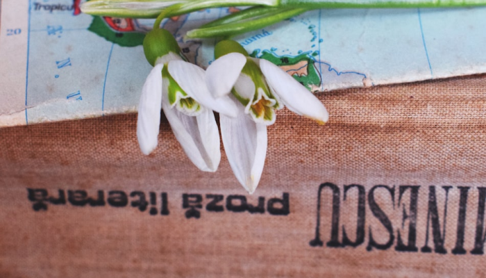 辅助开挂神器“微乐春天扑克有没有挂”分享用挂教程