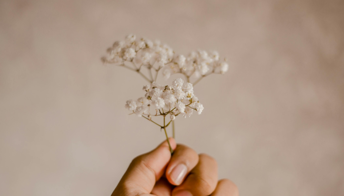 辅助神器“花花生活圈外卦神器”其实确实有挂