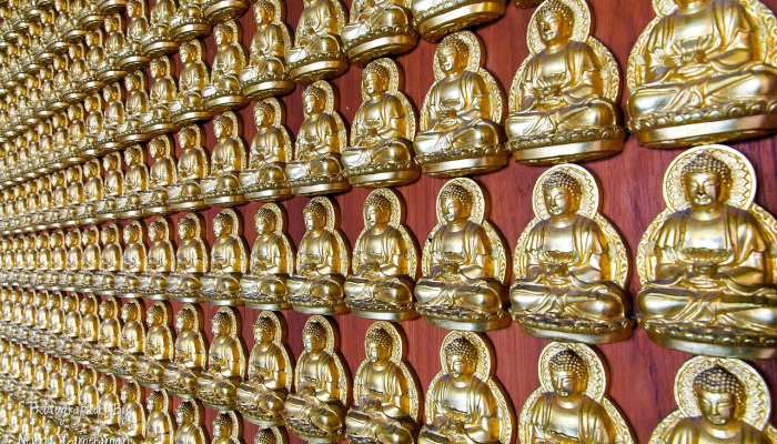 实测教程”山水云南麻将有没有挂”分享用挂教程 实测教程”山水云南麻将有没有挂”分享用挂教程