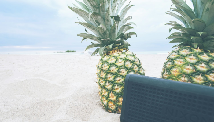 限时分享“乐清大菠萝有挂吗”开挂详细教程