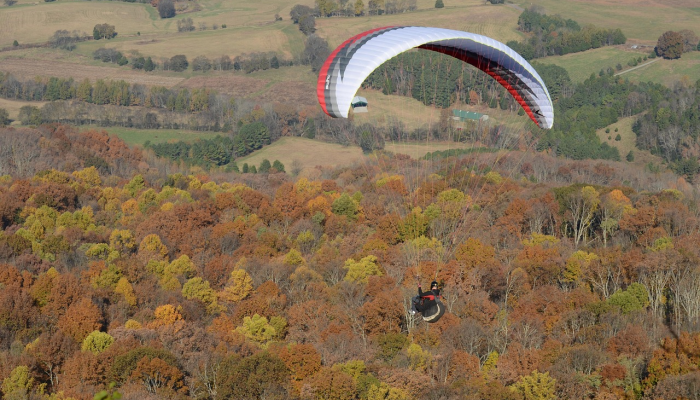 辅助神器“休闲宜丰可以开挂吗”(透视)其实确实有挂 辅助神器“休闲宜丰可以开挂吗”(透视)其实确实有挂