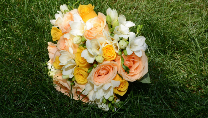 辅助神器“花花生活圈挂怎么开”(透视)其实确实有挂