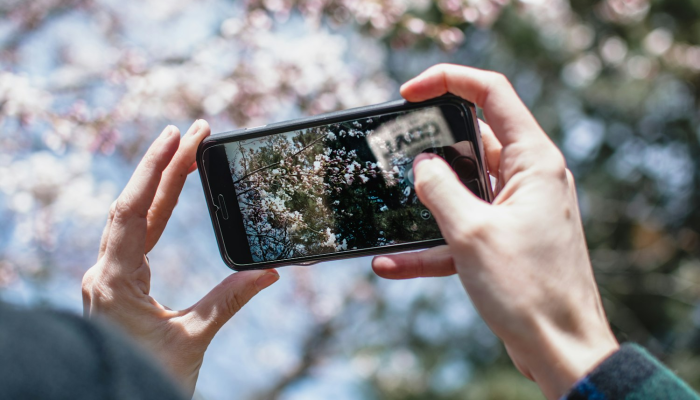 辅助神器“手机小程序微乐麻将怎么开挂”(透视)其实确实有挂 辅助神器“手机小程序微乐麻将怎么开挂”(透视)其实确实有挂