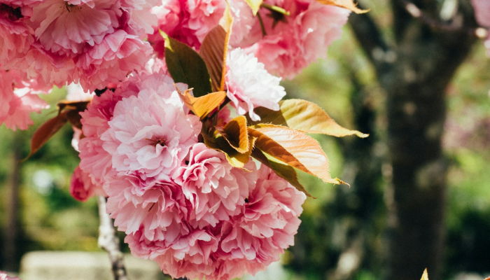 限时分享“游乐江苏有挂吗”开挂详细教程