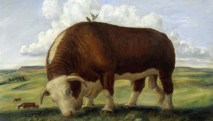 限时分享“铭心牛牛有挂吗”开挂详细教程