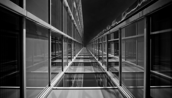 辅助神器“新超圣大厅透视挂”其实确实有挂