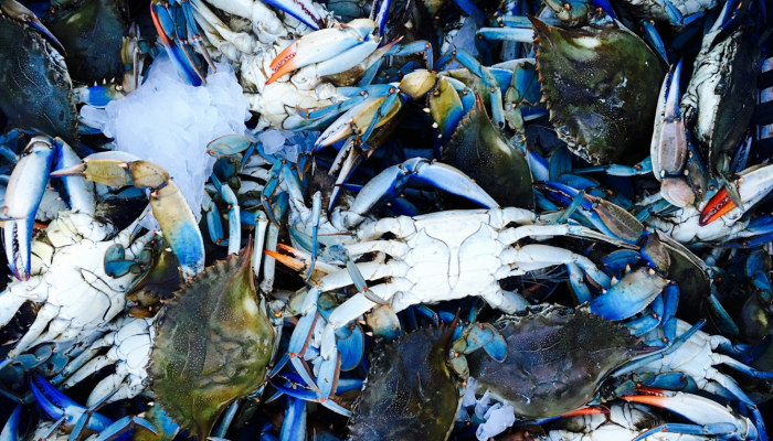 辅助神器“十三十三水全民比鸡喜牌有挂吗”(详细透视教程)-知乎